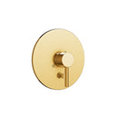 AQUABRASS R4295 TRIM SET - 42355 VALVE