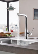 Grohe 30271000 ESSENCE NEW OHM SINK L-SPOUT SPRAY US GROHE CHROME