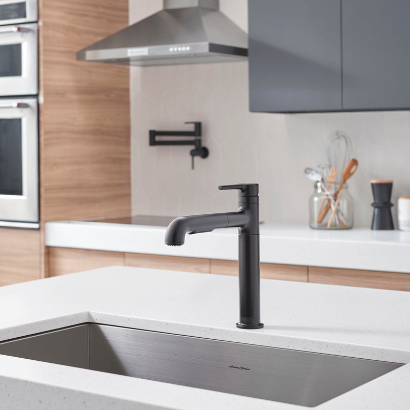 Studio® S Pull-Out Dual-Spray Kitchen Faucet