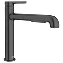 Studio® S Pull-Out Dual-Spray Kitchen Faucet