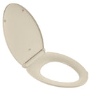 Contemporary Slow-Close & Easy Lift-Off Elongated Toilet Seat for VorMax® CleanCurve® Style Rims