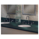 Monterrey® Bottom Mount Kitchen Faucet With Gooseneck Spout and Wrist Blade Handles 1.5 gpm/5.7 Lpf With Spray