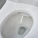 Advanced Clean® 2.5 Electric SpaLet® Bidet Seat With Remote Operation